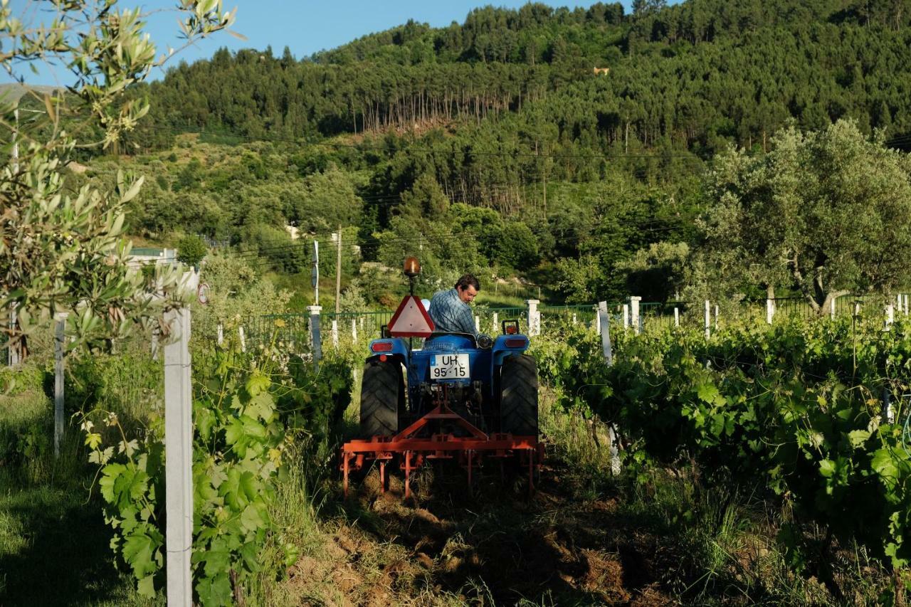 Quinta De Vodra Villa Seia Bagian luar foto